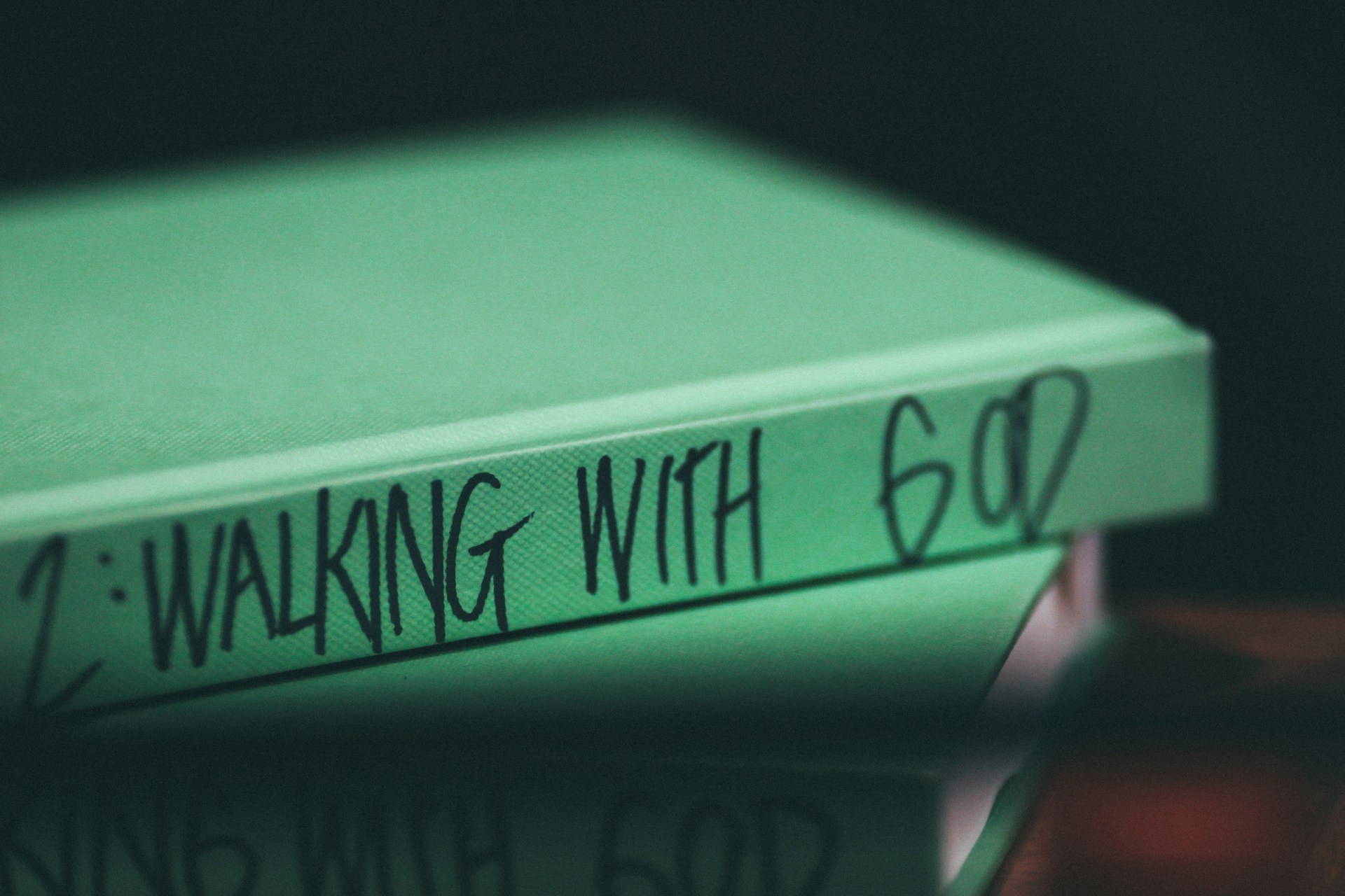 Emotionally Healthy Discipleship